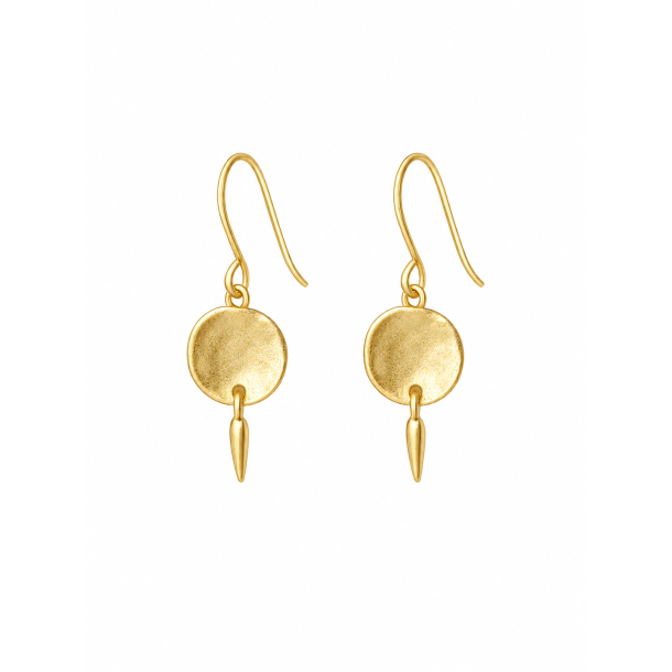 Dangle Coin