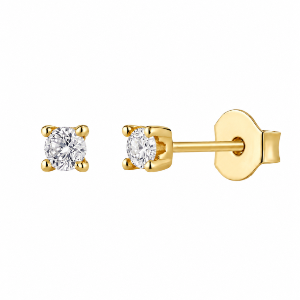 Sparkling Earring